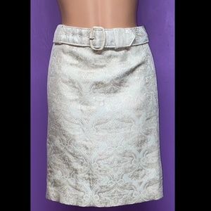 Ann Taylor Women's Skirt size 4P